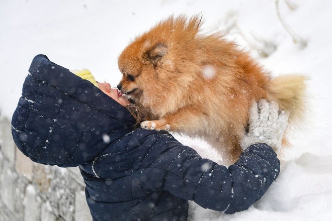 7 ngày qua ảnh: Cô gái Nga chơi đùa với cún cưng dưới mưa tuyết - Ảnh 2.