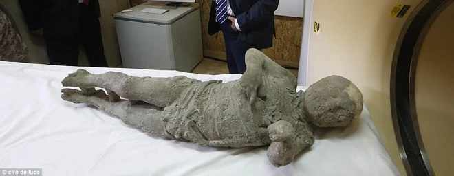 Chụp CT thi thể ‘hóa đá’ của nạn nhân thảm họa Pompeii: ‘Cái chết của họ quá khủng khiếp’ - Ảnh 3.
