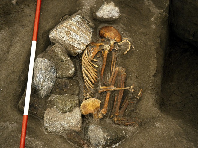 Phát hiện khảo cổ quái dị: Xét nghiệm ADN cho thấy xác ướp 3000 tuổi được chắp vá từ 6 di thể - Ảnh 1.