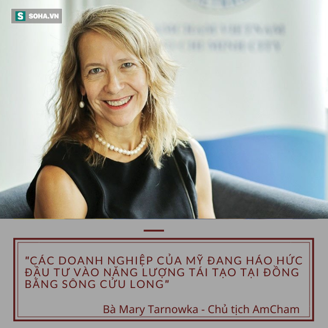 Chủ tịch Amcham: Các doanh nghiệp của Mỹ đang háo hức đầu tư vào năng lượng tái tạo tại đồng bằng Sông Cửu Long - Ảnh 1.