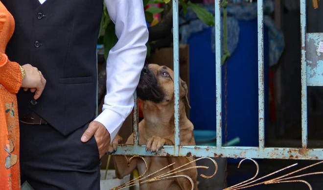 Đang diễn sâu, cô dâu bất ngờ phát hiện hàng xóm có hành động kém duyên với chú rể trong ảnh cưới - Ảnh 3.