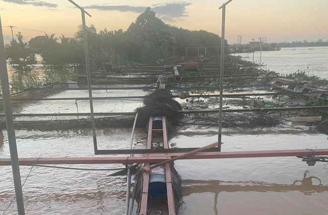 Hơn 800 tấn cá thiệt hại, một người dân mất tích do mưa lũ ở Đắk Lắk - Ảnh 1.