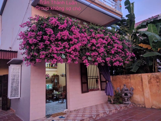 Dân mạng khoe những giàn hoa vĩ đại phủ kín nhà nhưng có một nguy cơ ai nghĩ tới cũng e sợ - Ảnh 9.