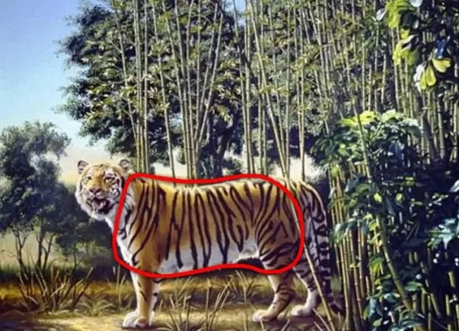 Thách thức đôi mắt và trí thông minh: Đố bạn tìm ra con hổ nữa ẩn trong tranh! - Ảnh 1.