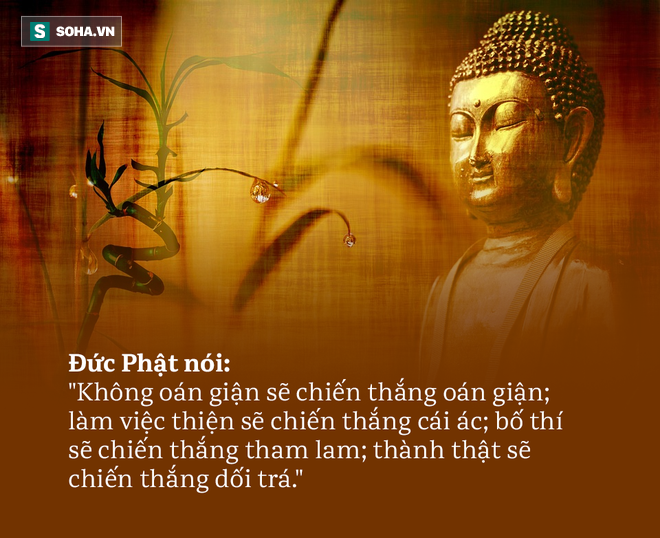Bị chửi rủa thẳng mặt, phản ứng của Đức Phật khiến đối phương đuối lý, nhận được bài học đáng nhớ - Ảnh 3.