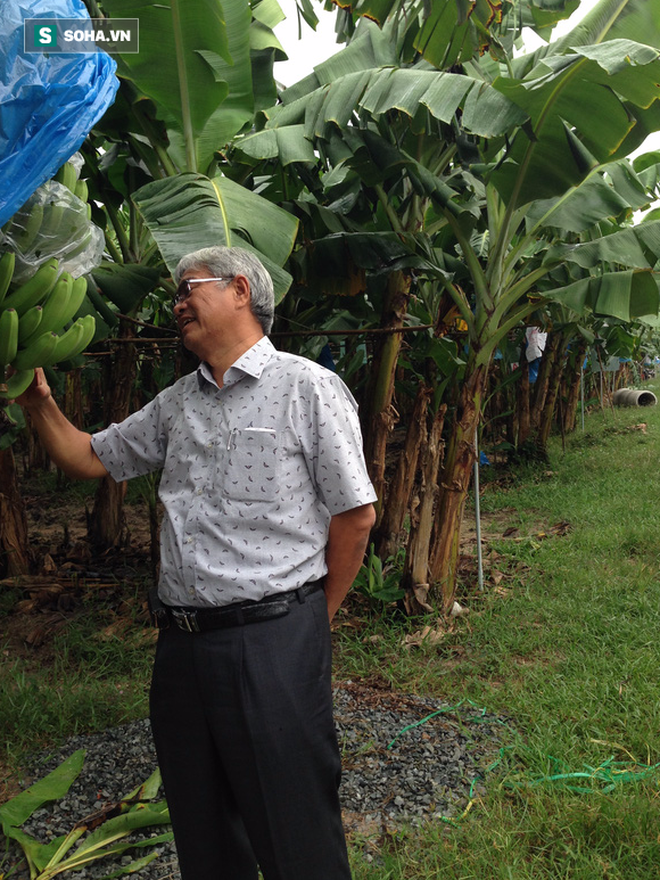 Nông dân triệu đô Huy chuối: Từ kiệt sức vì trồng mía sai cách đến vùng canh tác 1.000ha đất trên 6 tỉnh - Ảnh 1.