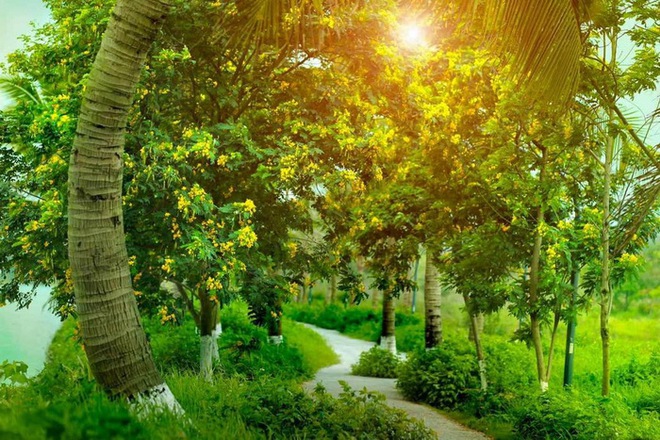 Không cần phải tâm sự, chỉ cần bạn nói ra hình ảnh mình thấy trước tiên: Chuyên gia sẽ đọc vị chuyện tình cảm của bạn - Ảnh 1.