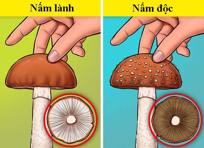 7 kỹ năng xử lý thông minh trong các tình huống “ngàn cân treo sợi tóc” - Ảnh 6.