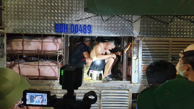 Phát hiện 4 người ngồi giữa thùng xe tải chở lợn khi qua chốt kiểm dịch Covid-19 - Ảnh 1.
