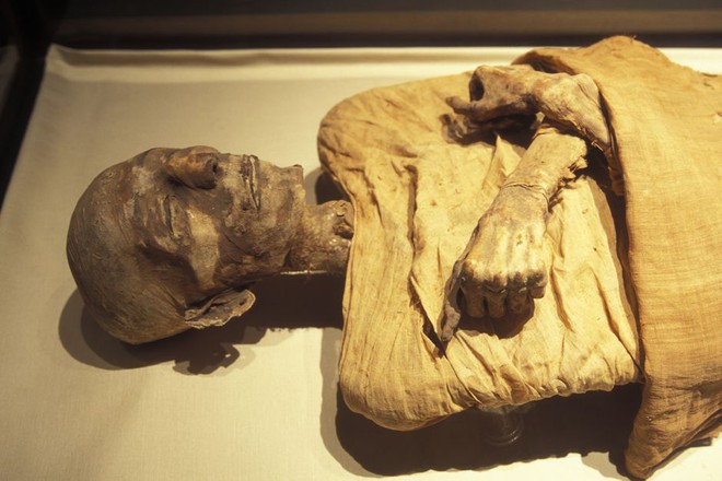 Dùng DNA tái tạo dung nhan của 3 xác ướp Ai Cập, chuyên gia phát hiện chi tiết lạ khiến họ trở nên đặc biệt - Ảnh 1.