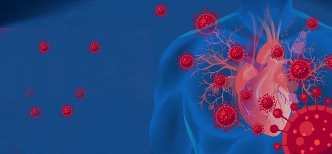 Không chỉ thích phổi, SARS-CoV-2 còn tấn công nội mạc mạch máu - Ảnh 2.
