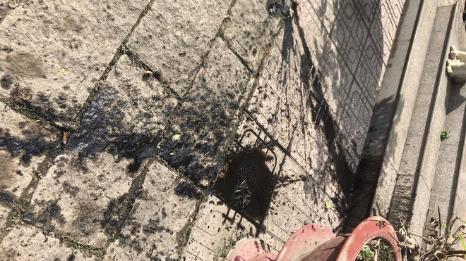 Nhóm người lạ 12 lần ném chất bẩn vào nhà một người phụ nữ ở Bình Dương - Ảnh 7.