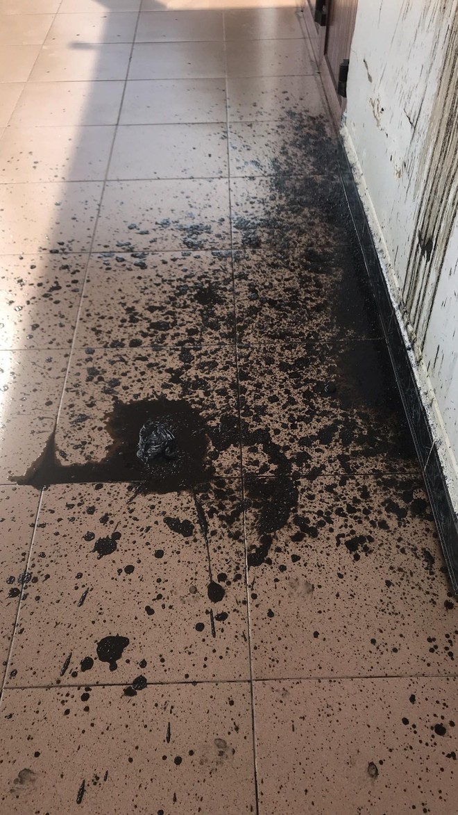 Nhóm người lạ 12 lần ném chất bẩn vào nhà một người phụ nữ ở Bình Dương - Ảnh 4.