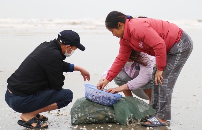 Ra biển vớt lộc lúc trái gió trở trời, người dân thu nhập tiền triệu mỗi ngày - Ảnh 8.