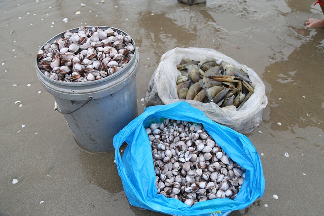Ra biển vớt lộc lúc trái gió trở trời, người dân thu nhập tiền triệu mỗi ngày - Ảnh 5.