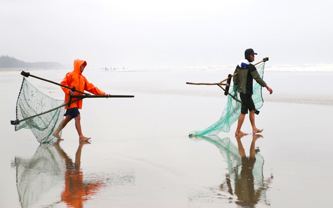 Ra biển vớt lộc lúc trái gió trở trời, người dân thu nhập tiền triệu mỗi ngày - Ảnh 2.