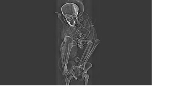Chụp CT, phát hiện điều kinh hoàng trên xác ướp Ai Cập: Điều bất thường nhất nằm trong quan tài - Ảnh 1.