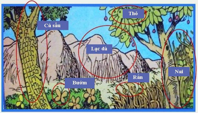 Thách thức thị giác: Trong 5 giây, bạn hãy tìm xem trong tranh có bao nhiêu con vật - Ảnh 2.