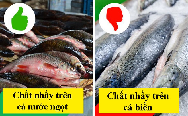 8 dấu hiệu nhận biết để chọn mua cá tươi ngon: Cá hồi màu đẹp không hẳn đã tốt - Ảnh 8.