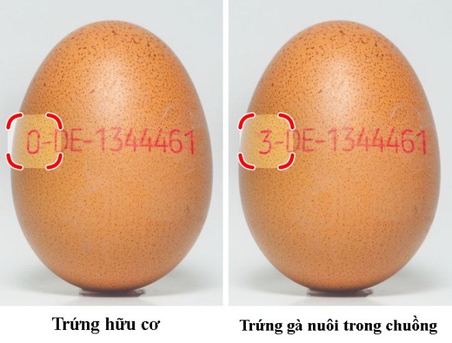 10 chi tiết dư thừa trên đồ vật này đều có công dụng riêng: Hầu hết mọi người không biết! - Ảnh 1.