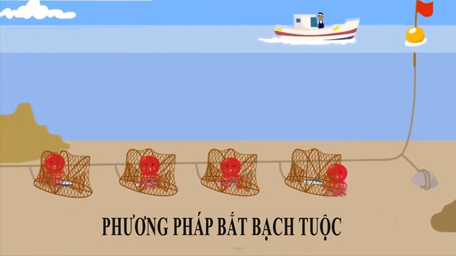 Cận cảnh chế biến bạch tuộc siêu to khổng lồ 40kg của đầu bếp Nhật Bản - Ảnh 1.