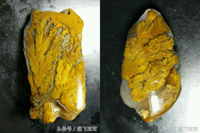 Tìm thấy viên đá phủ đầy rong rêu kỳ lạ của người ông đã qua đời, cô gái đăng lên mạng hỏi: Ai ai cũng trầm trồ, ghen tị - Ảnh 1.