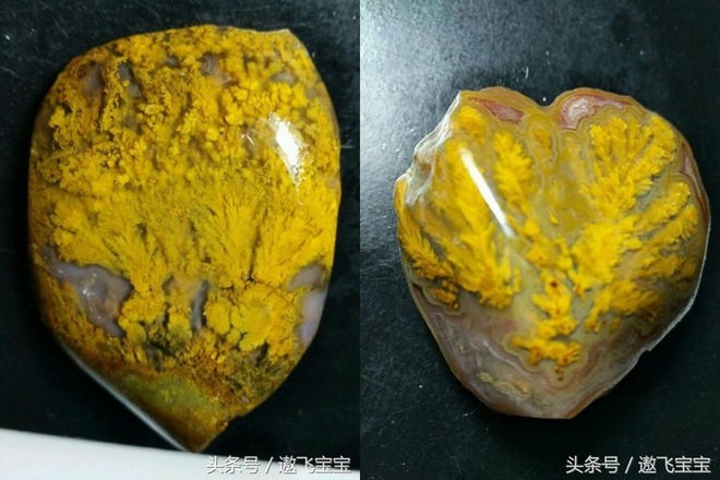 Tìm thấy viên đá phủ đầy rong rêu kỳ lạ của người ông đã qua đời, cô gái đăng lên mạng hỏi: Ai ai cũng trầm trồ, ghen tị - Ảnh 3.