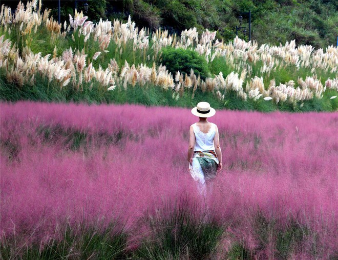 7 ngày qua ảnh: Cô gái chụp ảnh trên cánh đồng cỏ hồng ở Trung Quốc - Ảnh 2.