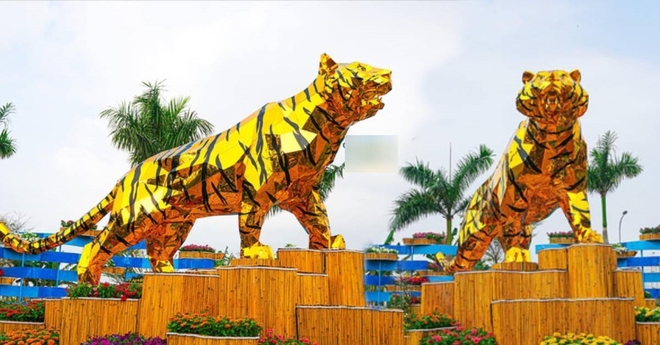 Hổ Bắc Ninh ra mắt, dân mạng nói giống mèo nhưng vẫn xuýt xoa khen, trao giải thân thiện - Ảnh 2.