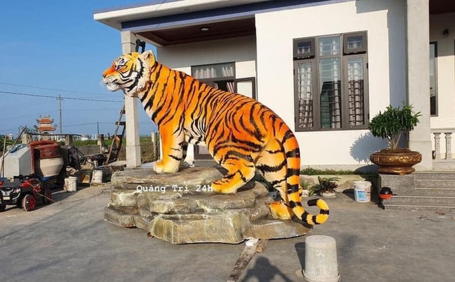 Hổ Bắc Ninh ra mắt, dân mạng nói giống mèo nhưng vẫn xuýt xoa khen, trao giải thân thiện - Ảnh 4.