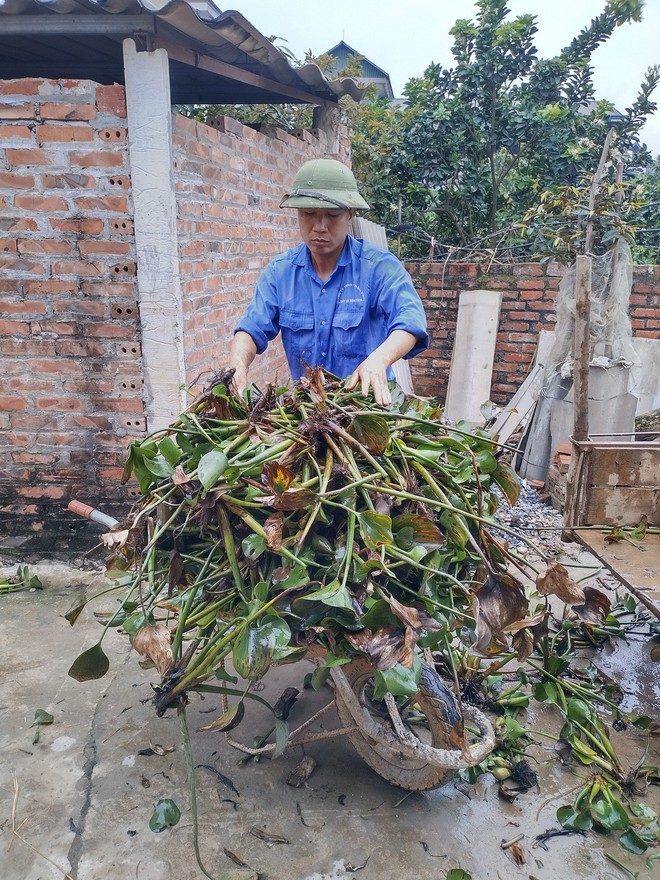 Gia đình chạy trốn áp lực sống ở Hà Nội, cất bằng cử nhân về quê làm nông dân chăn vịt