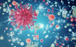 Chuyện kể từ phòng thí nghiệm nghiên cứu virus cúm: Những đặc tính 